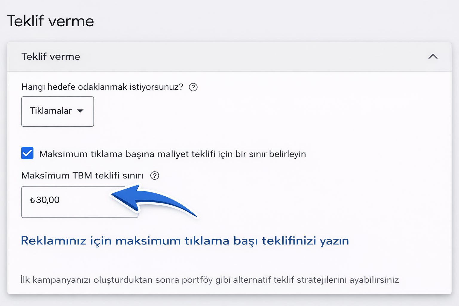Google Ads teklif verme ayarları